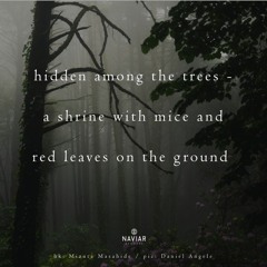 Hidden Shrine [naviarhaiku369]