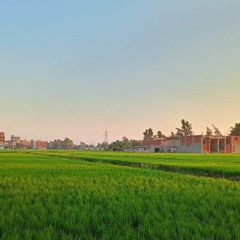 أفمن شرح الله صدره للإسلام فهو على نور من ربه
