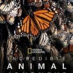 Incredible Animal Journeys Season 1 Episode 1 | FuLLEpisode -5117004