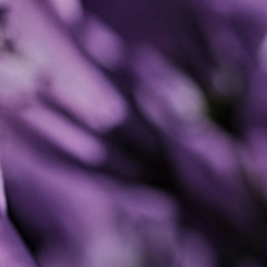 remix_2
