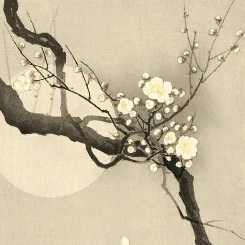 Stream 交響詩 定家の春 2 花曙色の熱 Symphonic Poem Japan Fantastic Springs 2 Impassioned Flower By 大森愛弓 Composer Listen Online For Free On Soundcloud Stream 交響詩 定家の春 2 花曙色の熱 Symphonic Poem Japan Fantastic Springs 2 Impassioned Flower By 大森愛弓 Composer Listen Online For Free On Soundcloud