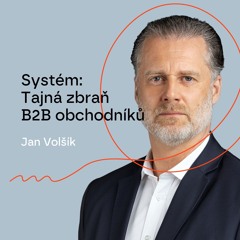 #111 – Systém: Tajná zbraň B2B obchodníků – Jan Volšík