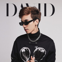 DAVID EDIT AND MASHUP ( 1 )