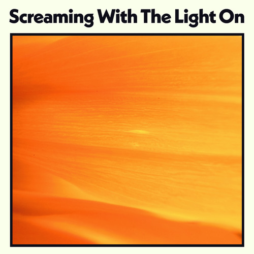 Run Logan Run - Screaming With the Light On