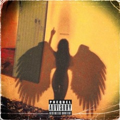 Intro (PANTH£R RENDITIONS) - Brandz, Zion Foster