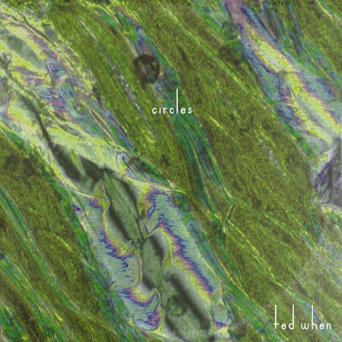 “Circles” - Post Malone (Cover by ted when)