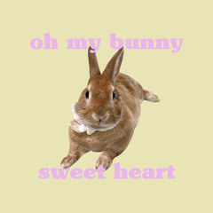 If my bunny talk to me🐰집사야 내말좀 들어봐