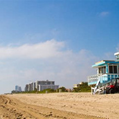 Best Things To Do In Surfside Florida Tours Reviews