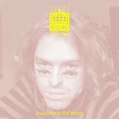 Raf Wilcot n10.as Guest Mix