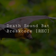 [REC] Circular D Neuro Deathsoundbat + | Q7 (220)