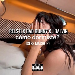 Rels B x Bad Bunny x J Balvin - Como Dormiste Bebé (Sese Mashup)