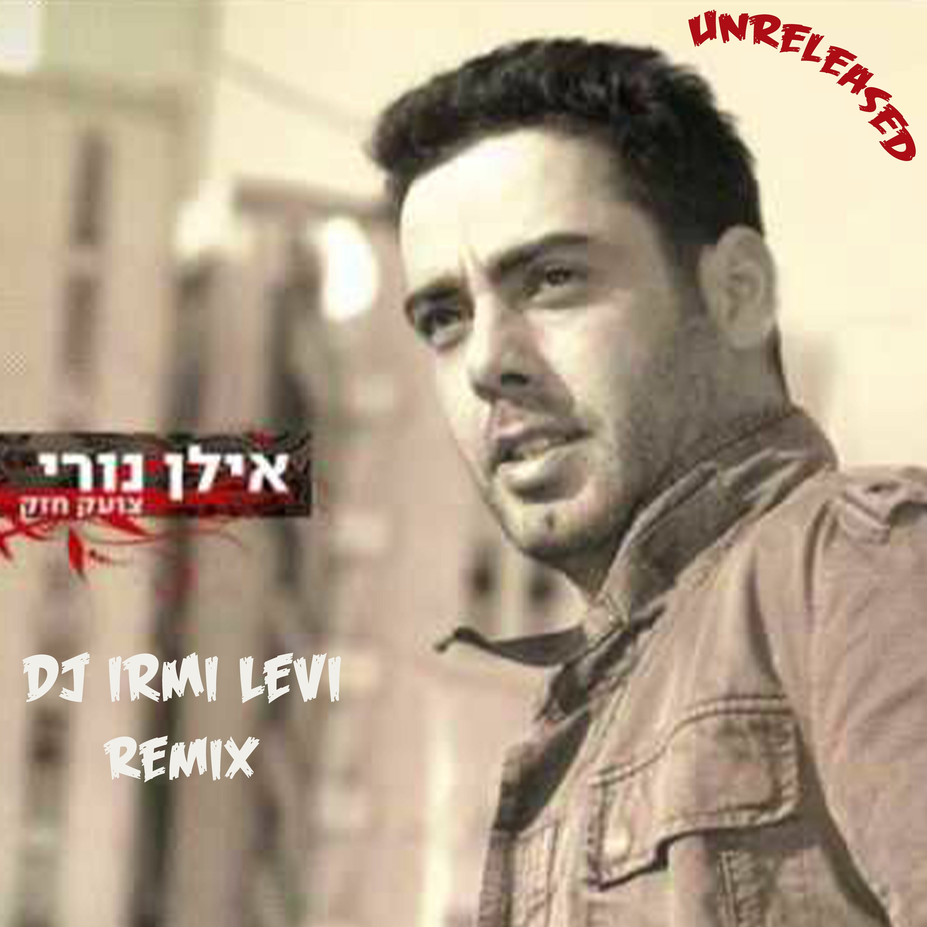 Irmi Levi