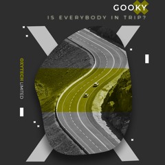 GooKy - Is Everybody In (Original Mix)