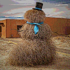 Tumbleweed