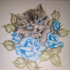 Cat in Trance