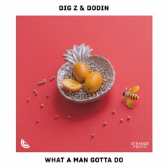 Big Z & Bodin - What A Man Gotta Do