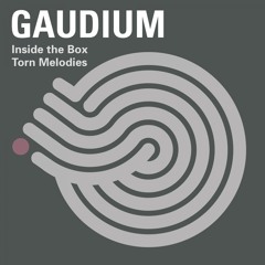 Torn Melodies (Original Mix)