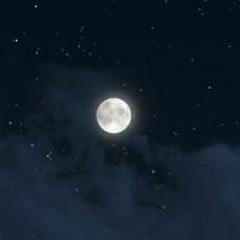 2020 (Alma Rutgers 2021 Contest)