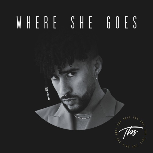 Bad Bunny - Where She Goes (TBS Remix)