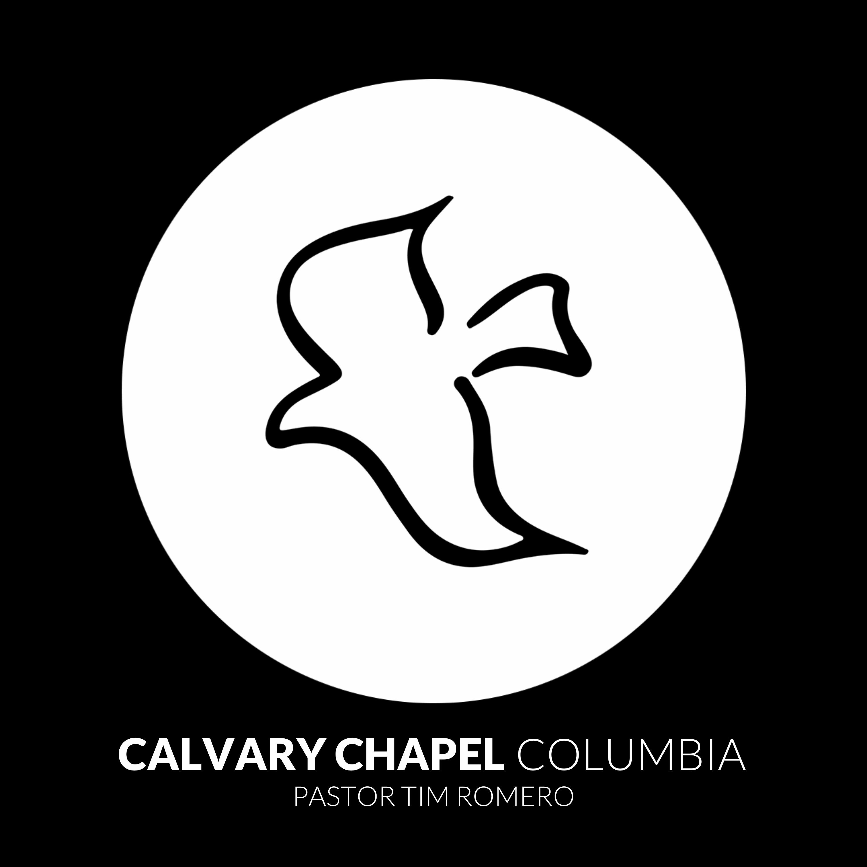 Acts 28:1-10 Safe For The Sake Of Service (Church On Fire Series)