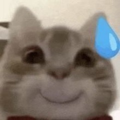 Sương mai trong veo-Remix