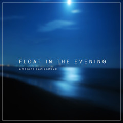 Float In The Evening（ambient series 020）.aif