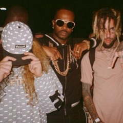 WIT DAWGS