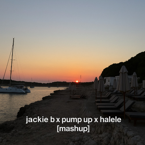 jackie b x pump up the jam x halele