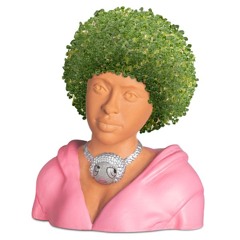 ch ch ch chia