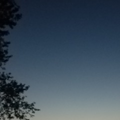 fle$h evta - welcome to the catacombs [ drummed ]