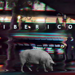 Cosser & SC€M - Iberico