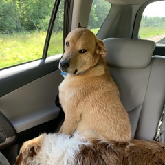 Be Yourself ft. Brenda