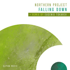 Falling Down (Eugenio Tokarev Remix)