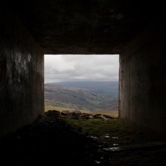 SILENT PURSUIT / nordic noir