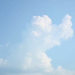 call on me [prod. typhoon]