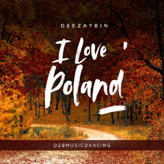 I Love Poland x DEEZAYBIN x MIX