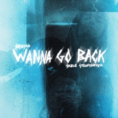 wanna go back (feat. skele + steadysuffer)