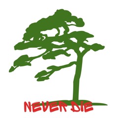 NEVER DIE(Prod.WhiteLIT).mp3