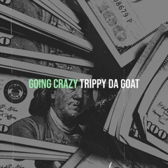 Trippy - Goin Crazy