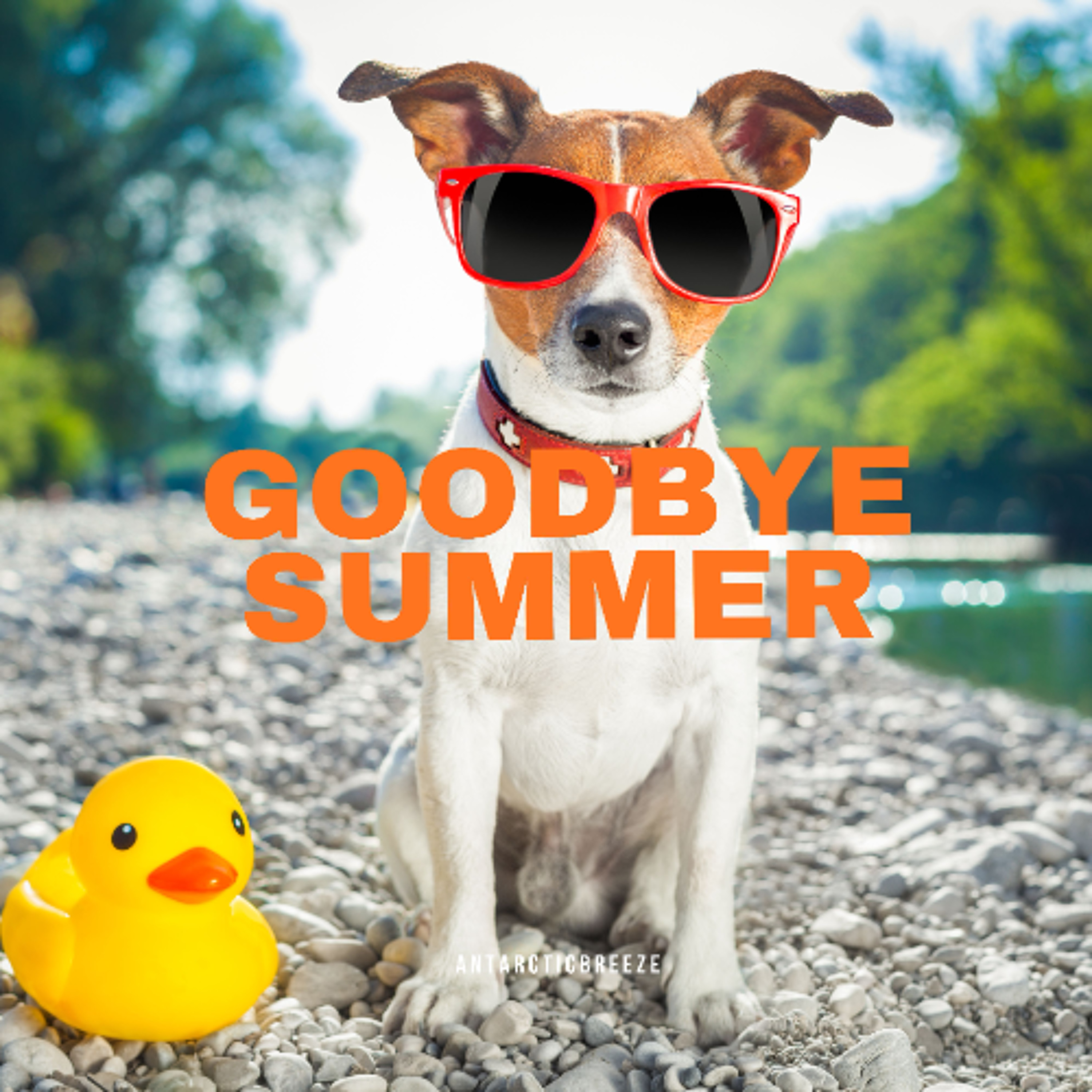 Goodbye Summer / Background Music episode artwork