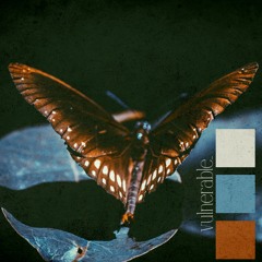 the best of me could never do...