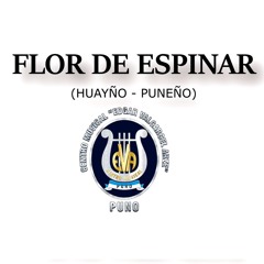 FLOR DE OTOÑO Marinera Puneña