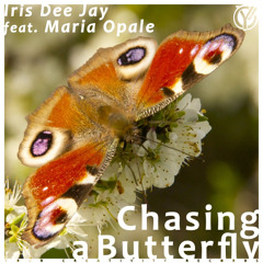 Iris Dee Jay feat. Maria Opale - Chasing a Butterfly (Ambient Mix)