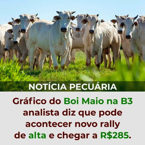 Gráfico do Boi Maio na B3 – analista diz que pode acontecer novo rally de alta e chegar a R$285.