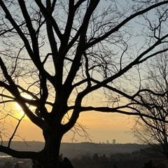 Sorry for the Silence