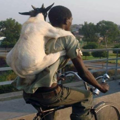 Goat Nabber