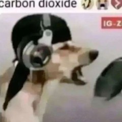whxt the hxlly {{KRXXK}}