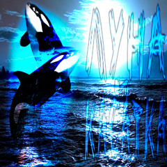 moon and  killer whale  prod.xenovi