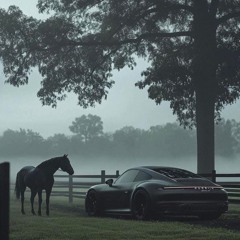 Tears  CHILL DEEP HOUSE