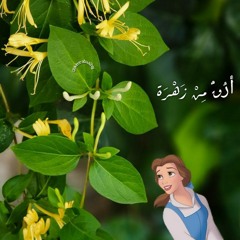 Chirine Lajmi - Ma Hassina - شيرين اللجمي - ماحسينا.mp3